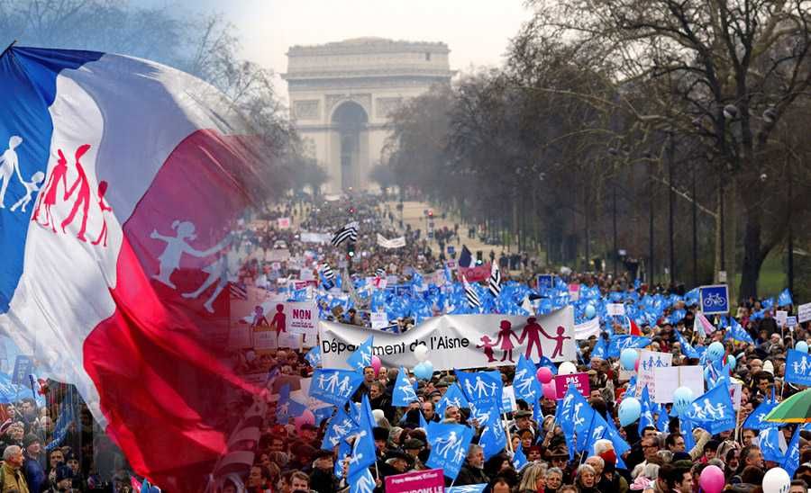 Французы протестуют против однополого ЭКО