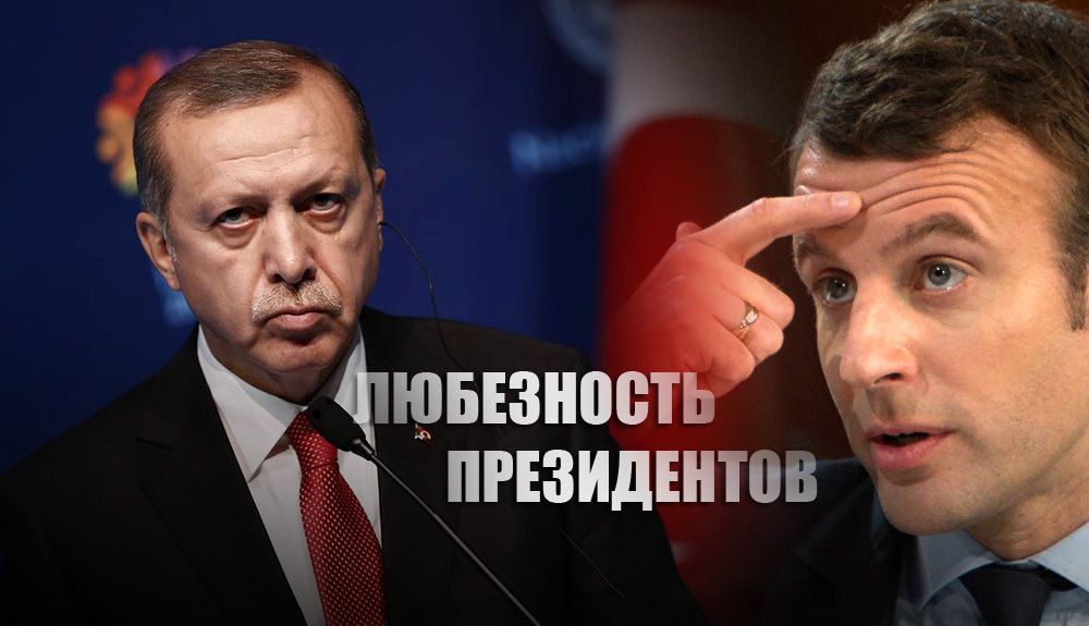 "Он нуждается в лечении": Эрдоган посоветовал Макрону лечить психику