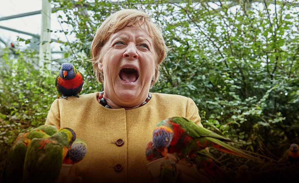 На Меркель "напал" попугай, когда она кормила птиц в парке