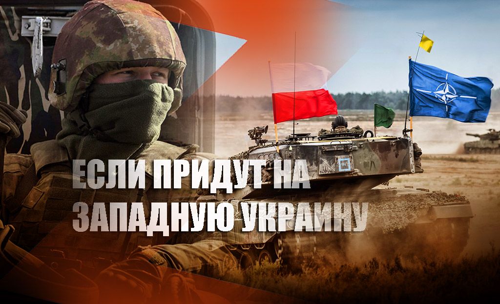 Военный эксперт пояснил, что придется сделать России, если Польша захватит Западную Украину