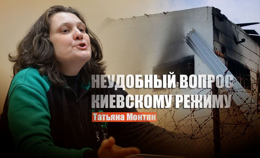 Монтян задала неудобный вопрос Киеву после попытки оправдаться по инциденту в Еленовке