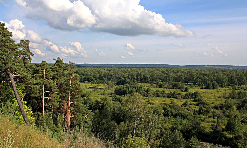 Природа Нижегородской области