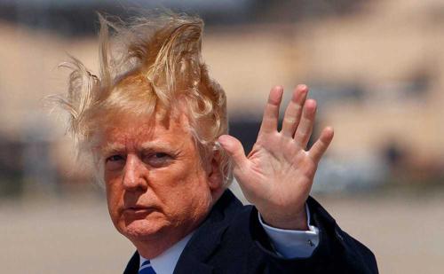 Трамп о своих волосах